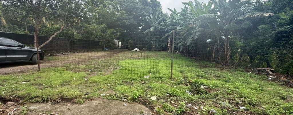 Diseno Sin Titulo 22 1024x401