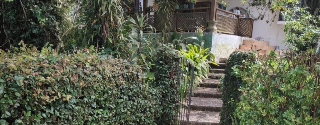 Plantilla Web DM Para Fotos De Proyectos 3 1024x401