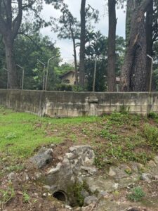 whatsapp image 2025 09 28 at 3.17.30 pm