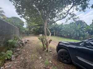 whatsapp image 2025 09 28 at 3.18.00 pm (1)