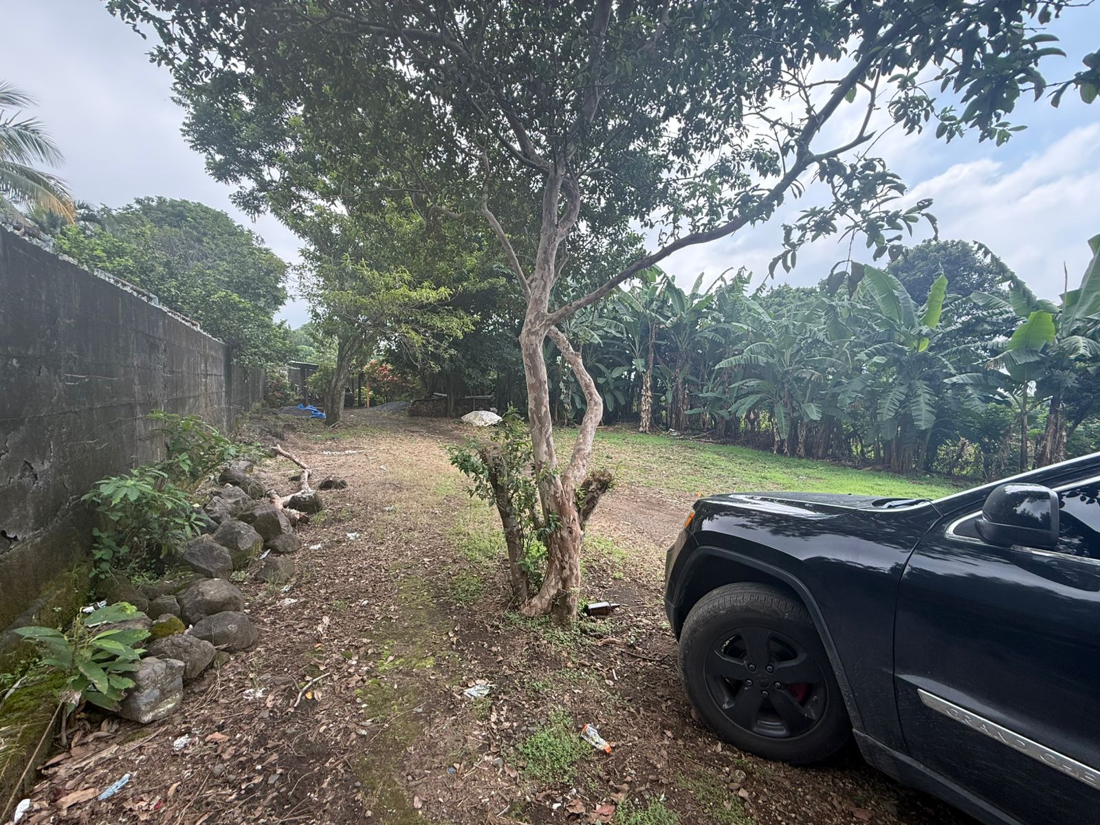 whatsapp image 2025 09 28 at 3.18.00 pm (1)