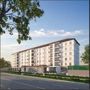 whatsapp image 2025 10 16 at 1.15.59 pm (3)