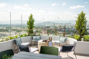 whatsapp image 2025 10 16 at 11.31.24 am