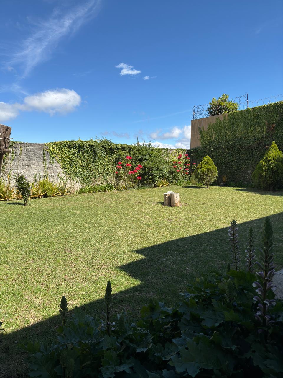 whatsapp image 2025 10 20 at 12.09.31 pm (1)