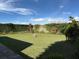 whatsapp image 2025 10 20 at 12.09.31 pm (2)