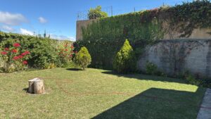 whatsapp image 2025 10 20 at 12.09.32 pm (3)