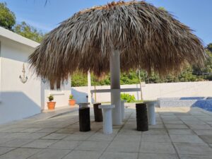 whatsapp image 2025 12 03 at 1.33.38 pm