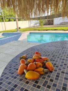 whatsapp image 2025 12 03 at 1.33.39 pm (1)