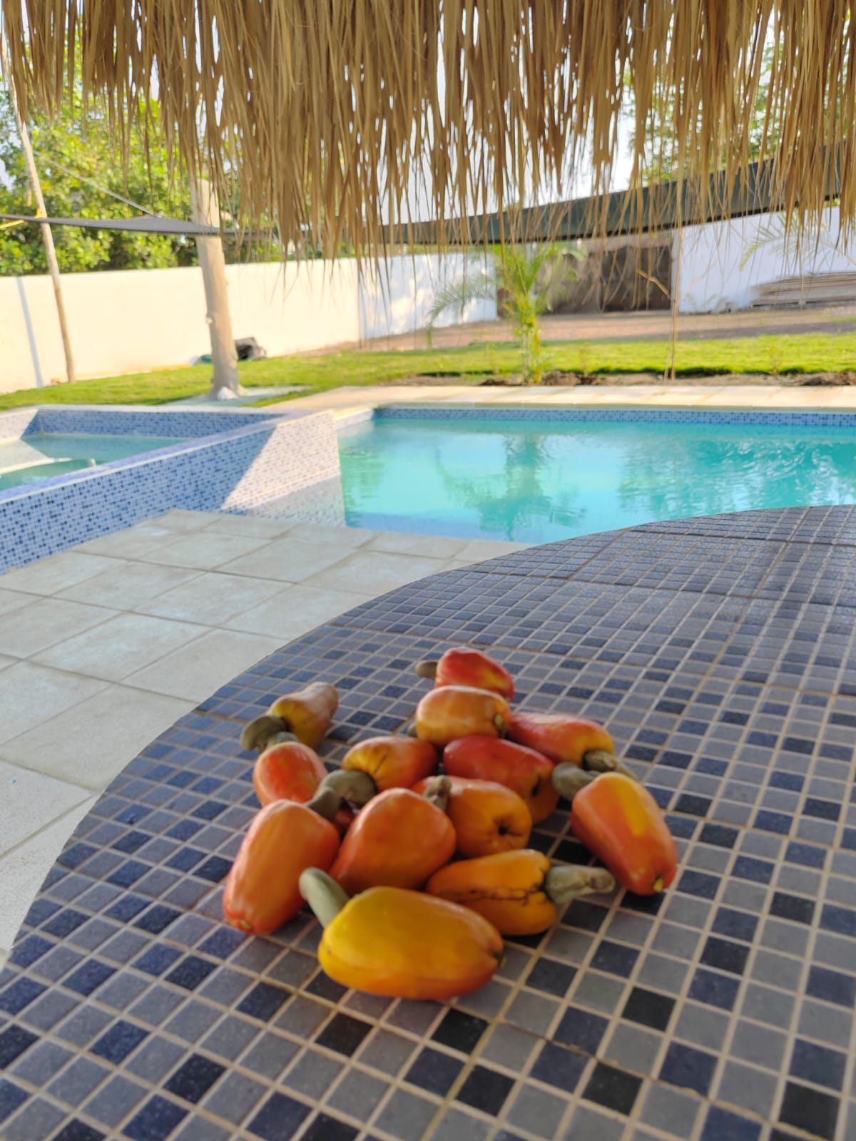 whatsapp image 2025 12 03 at 1.33.39 pm (1)