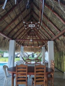 whatsapp image 2025 12 03 at 1.33.41 pm (2)